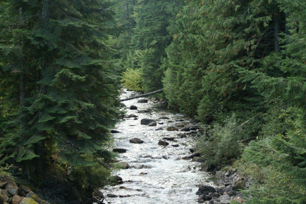Sve60 Old Hope Princeton Highway, Sunshine Valley, Hope, British Columbia  V0X 1L5 - Photo 18 - R3120400