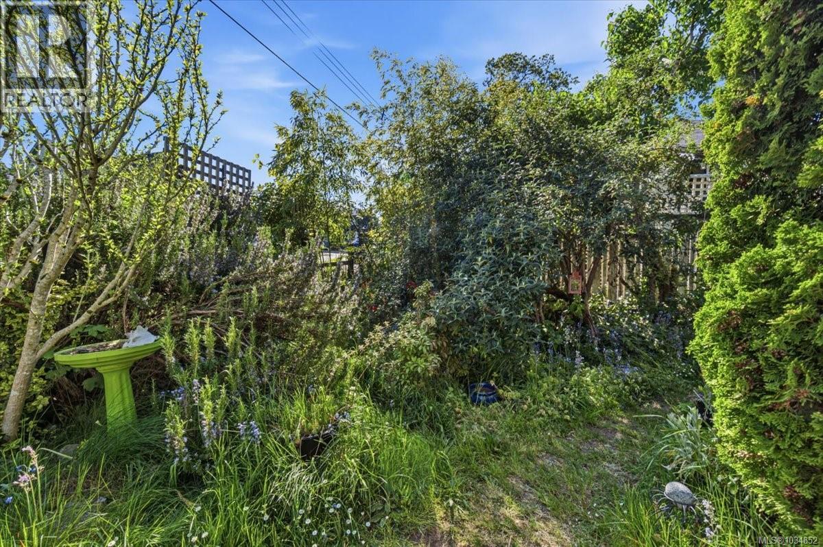 650 Campbell St, Nanaimo, British Columbia  V9R 3H2 - Photo 49 - 1034852