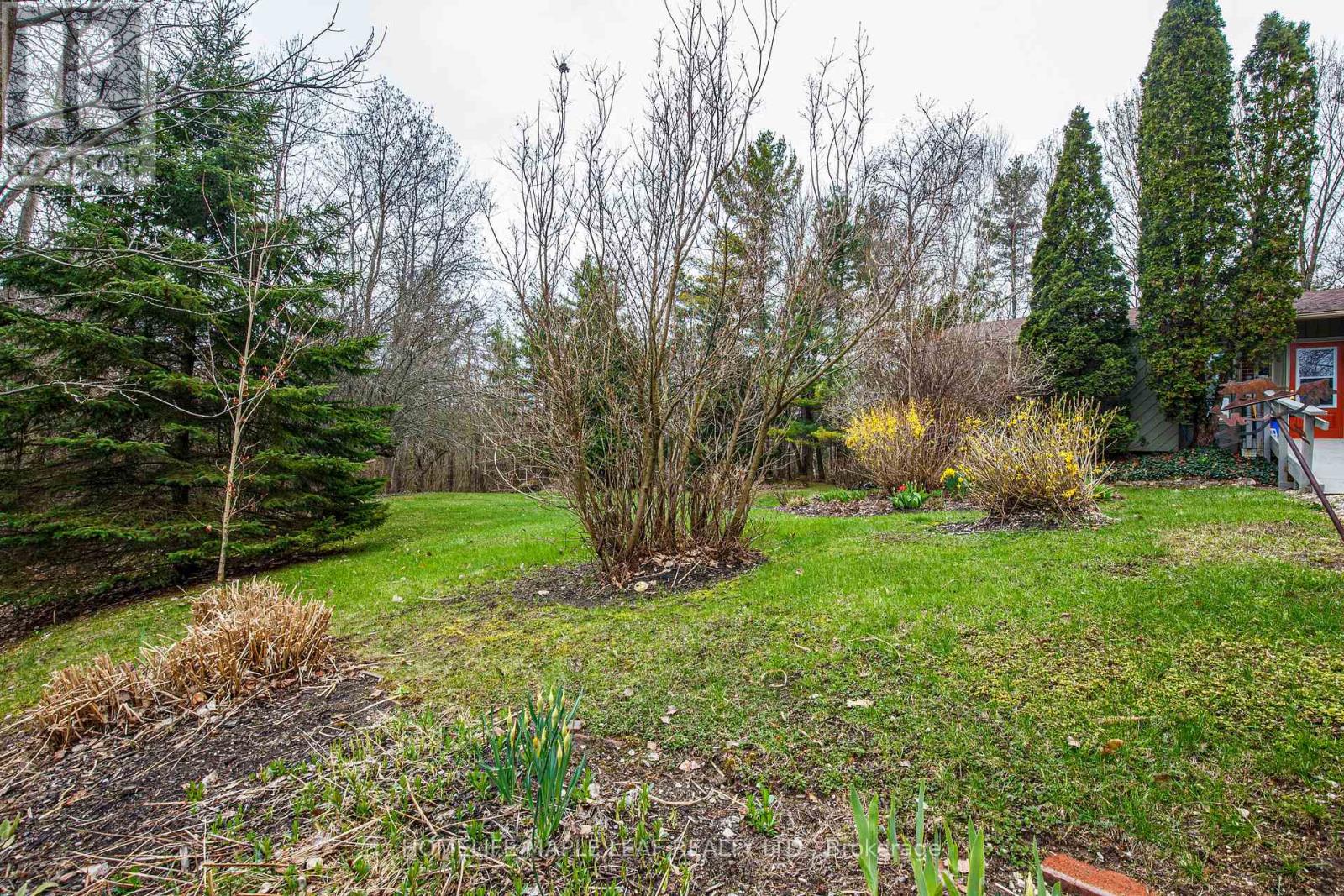 5935 6th Line, New Tecumseth, Ontario  L0G 1W0 - Photo 36 - N13079056
