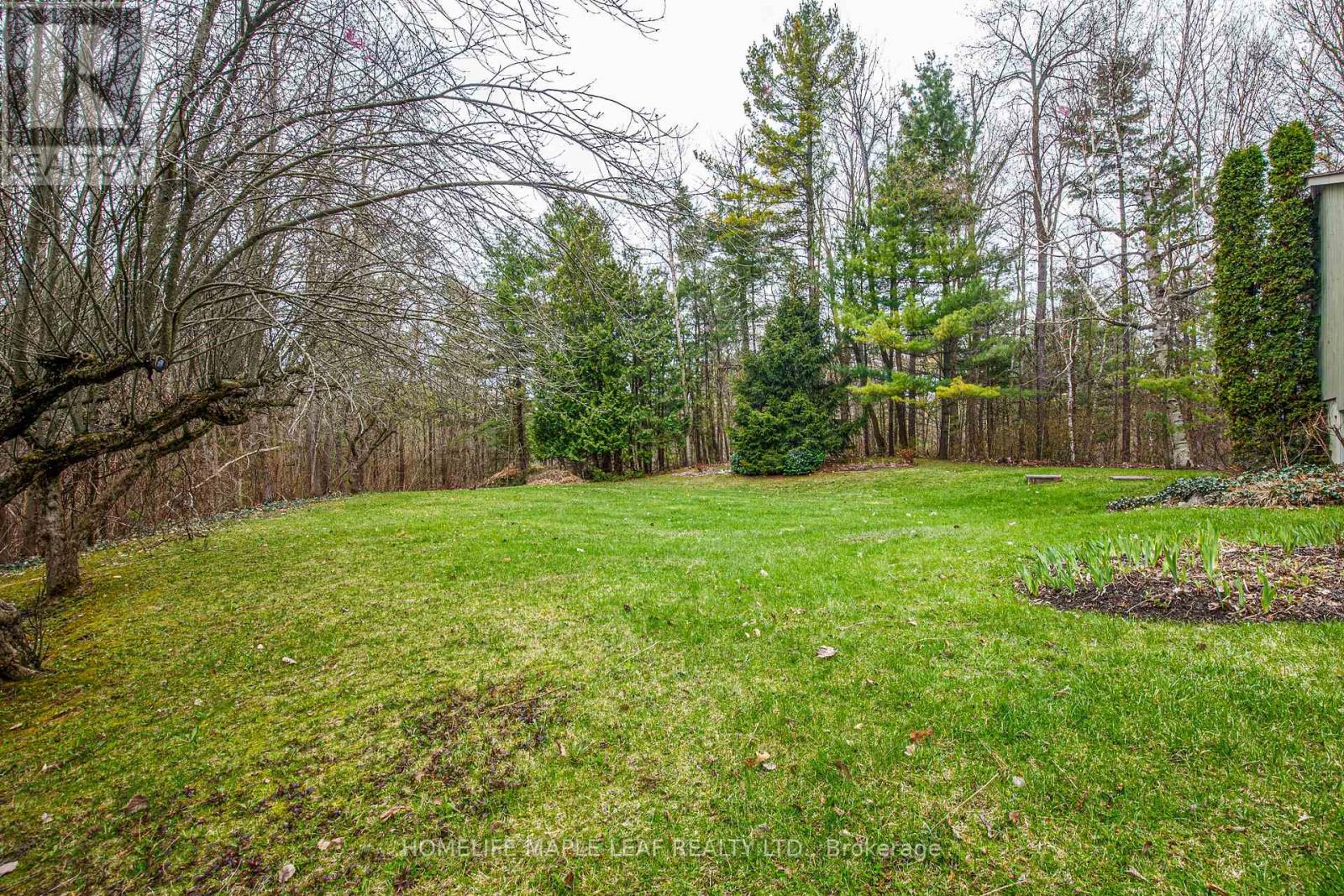 5935 6th Line, New Tecumseth, Ontario  L0G 1W0 - Photo 37 - N13079056