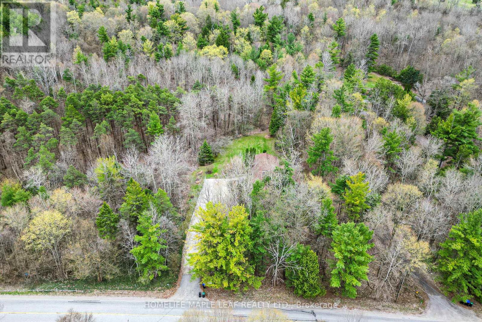 5935 6th Line, New Tecumseth, Ontario  L0G 1W0 - Photo 46 - N13079056