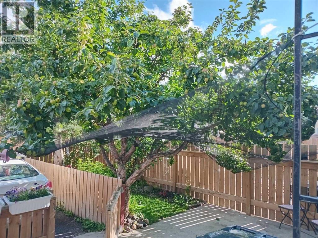 29, 441 Switzer Drive, Hinton, Alberta  T7V 1Z7 - Photo 31 - A2289634