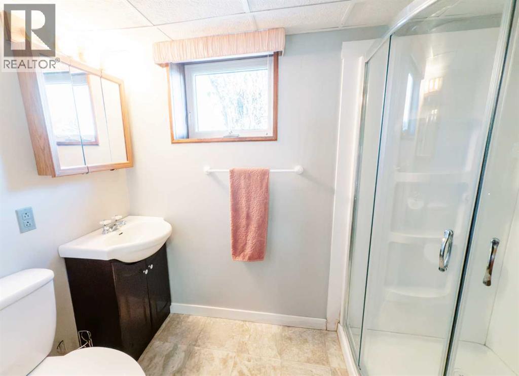 221 4th Avenue S, Big Valley, Alberta  T0J 0G0 - Photo 32 - A2277449