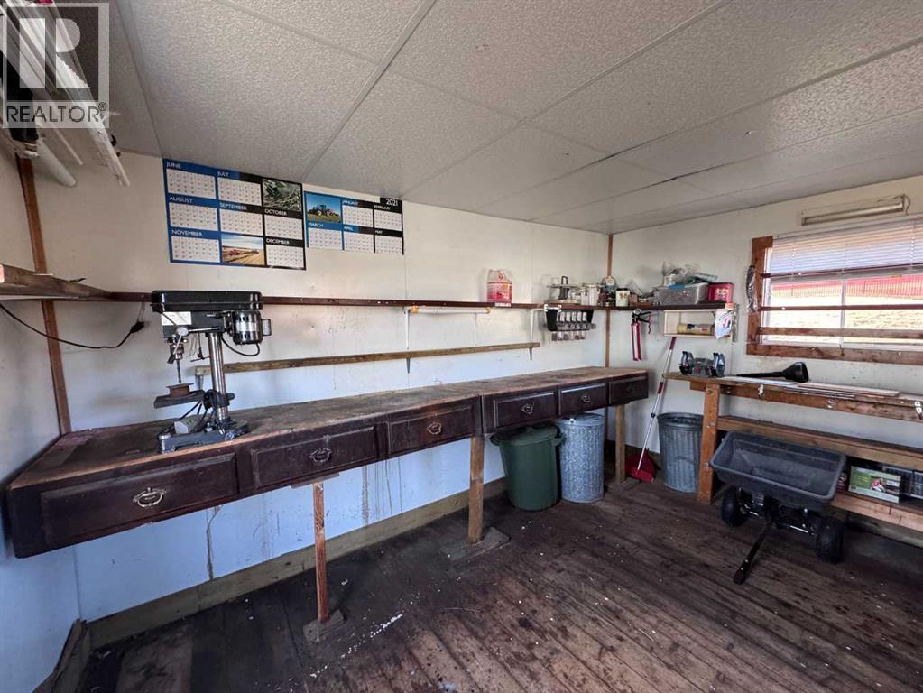 221 4th Avenue S, Big Valley, Alberta  T0J 0G0 - Photo 45 - A2277449