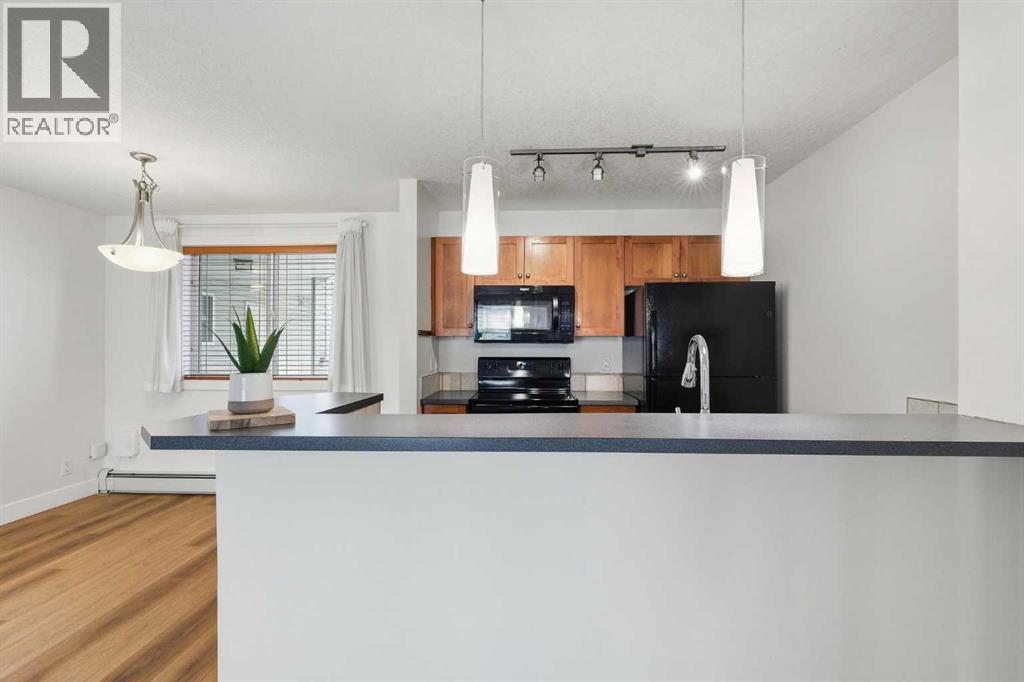 203, 2440 34 Avenue Sw, Calgary, Alberta  t2t 2c8 - Photo 5 - A2306767