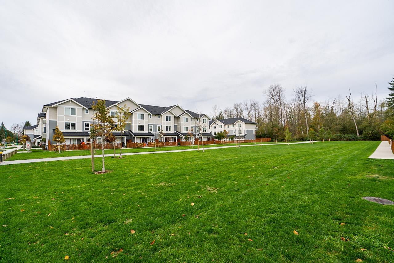 59 19501 74 Avenue, Surrey, British Columbia  V4N 6V7 - Photo 37 - R3120575