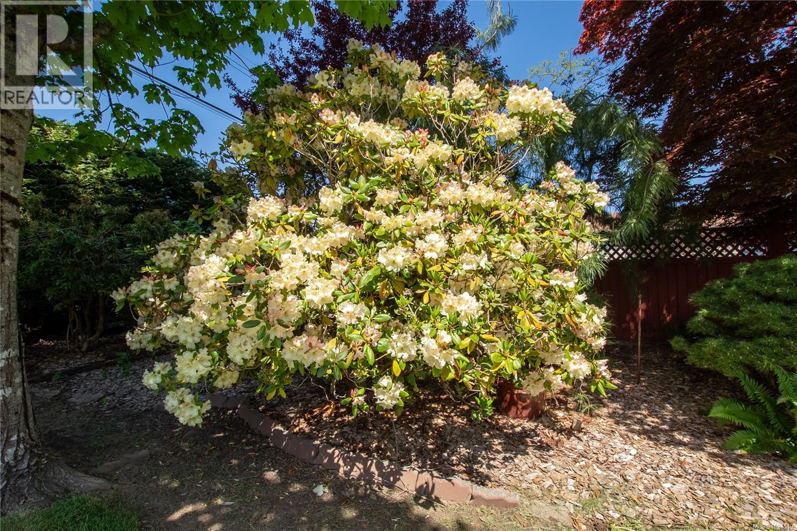 8071 Queen St, Crofton, British Columbia  V0R 1R0 - Photo 67 - 1034519