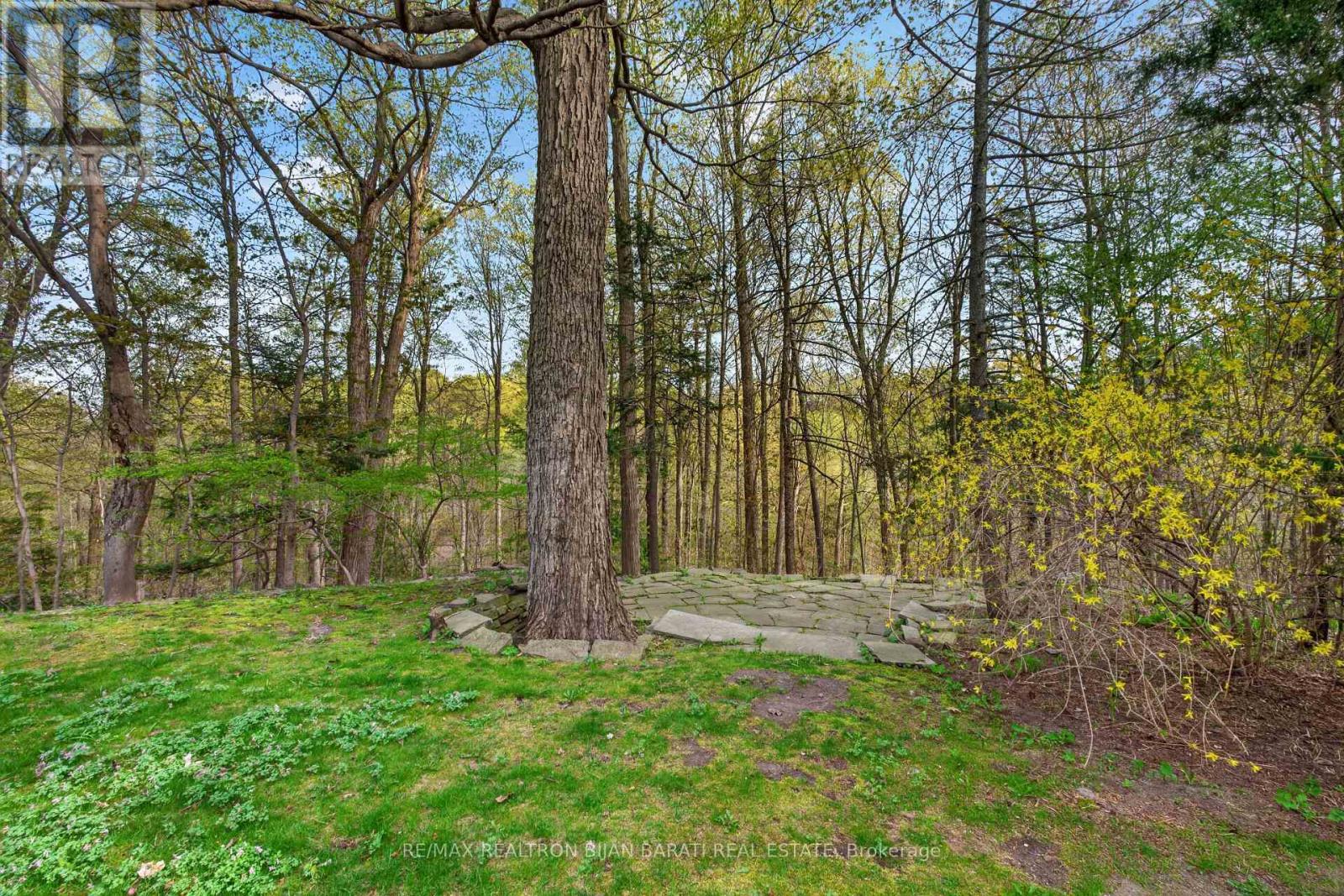 73 Forest Grove Drive, Toronto, Ontario  M2K 1Z4 - Photo 47 - C13093304