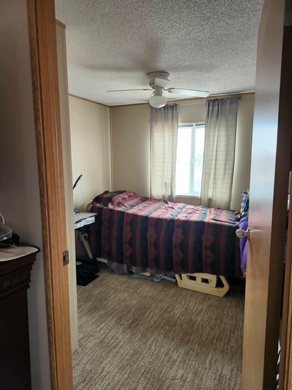 10 Woodlands Trailer Park Court, Woodlands, Manitoba  R0C 3H0 - Photo 16 - 202609527