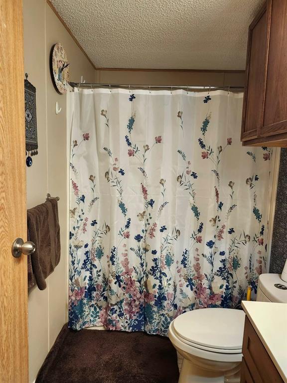 10 Woodlands Trailer Park Court, Woodlands, Manitoba  R0C 3H0 - Photo 17 - 202609527
