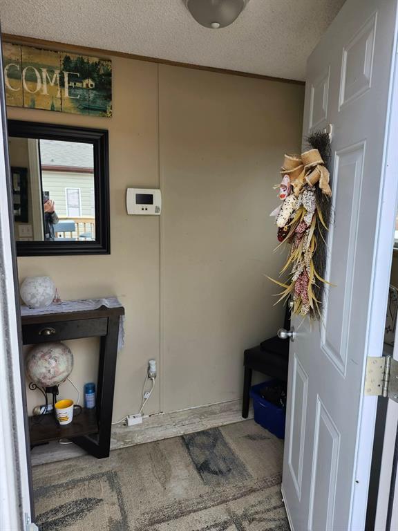 10 Woodlands Trailer Park Court, Woodlands, Manitoba  R0C 3H0 - Photo 18 - 202609527