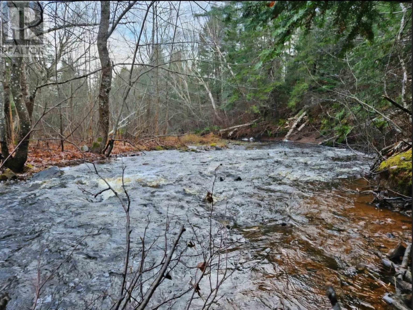 V/l 368 Highway, Wentworth, Nova Scotia  B0M 1Z0 - Photo 10 - 202609969