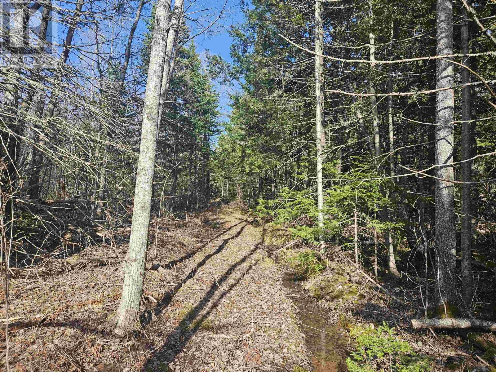 V/l 368 Highway, Wentworth, Nova Scotia  B0M 1Z0 - Photo 3 - 202609969