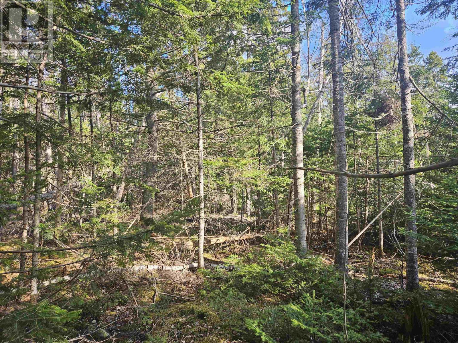 V/l 368 Highway, Wentworth, Nova Scotia  B0M 1Z0 - Photo 5 - 202609969