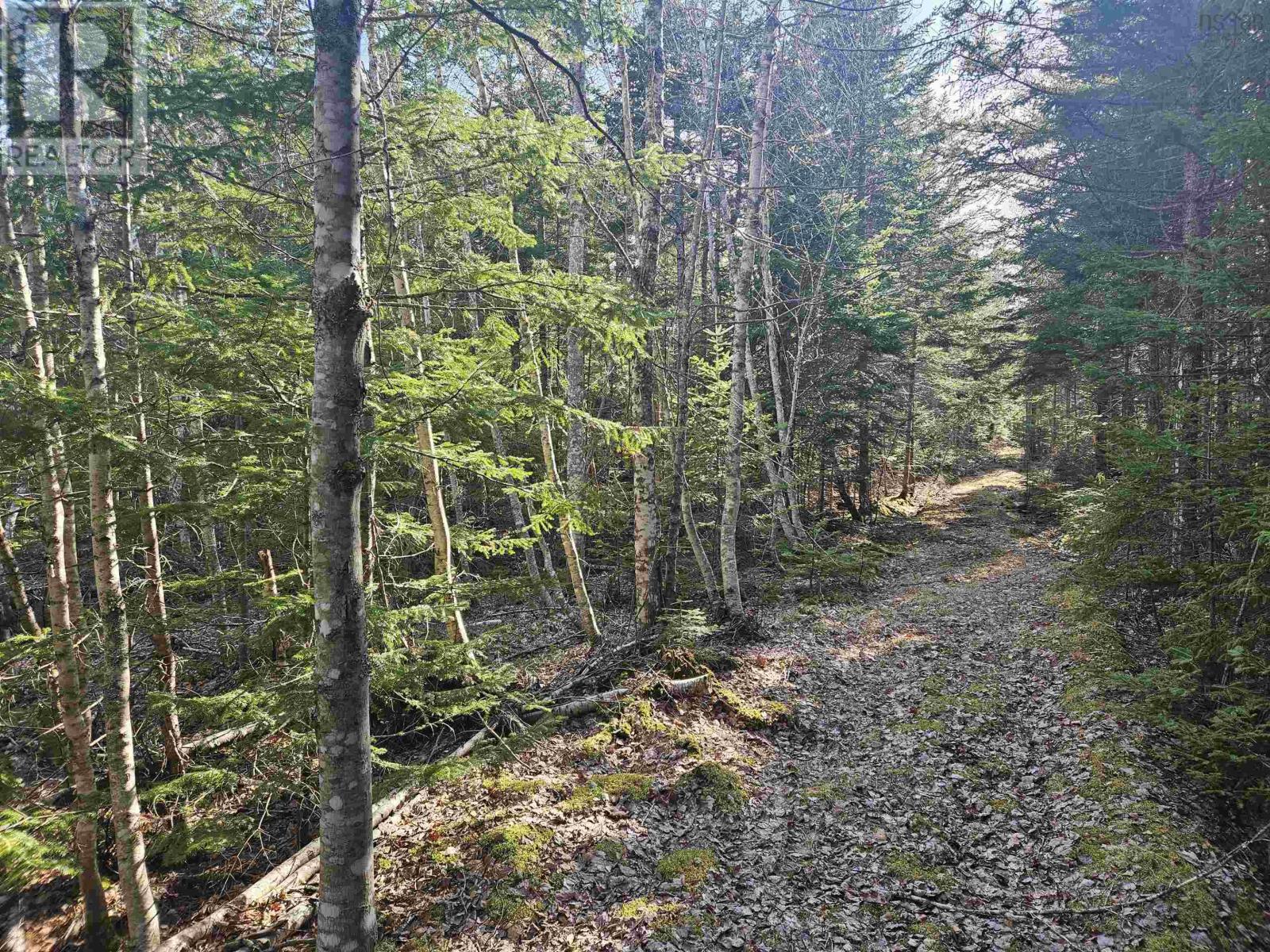 V/l 368 Highway, Wentworth, Nova Scotia  B0M 1Z0 - Photo 2 - 202609969