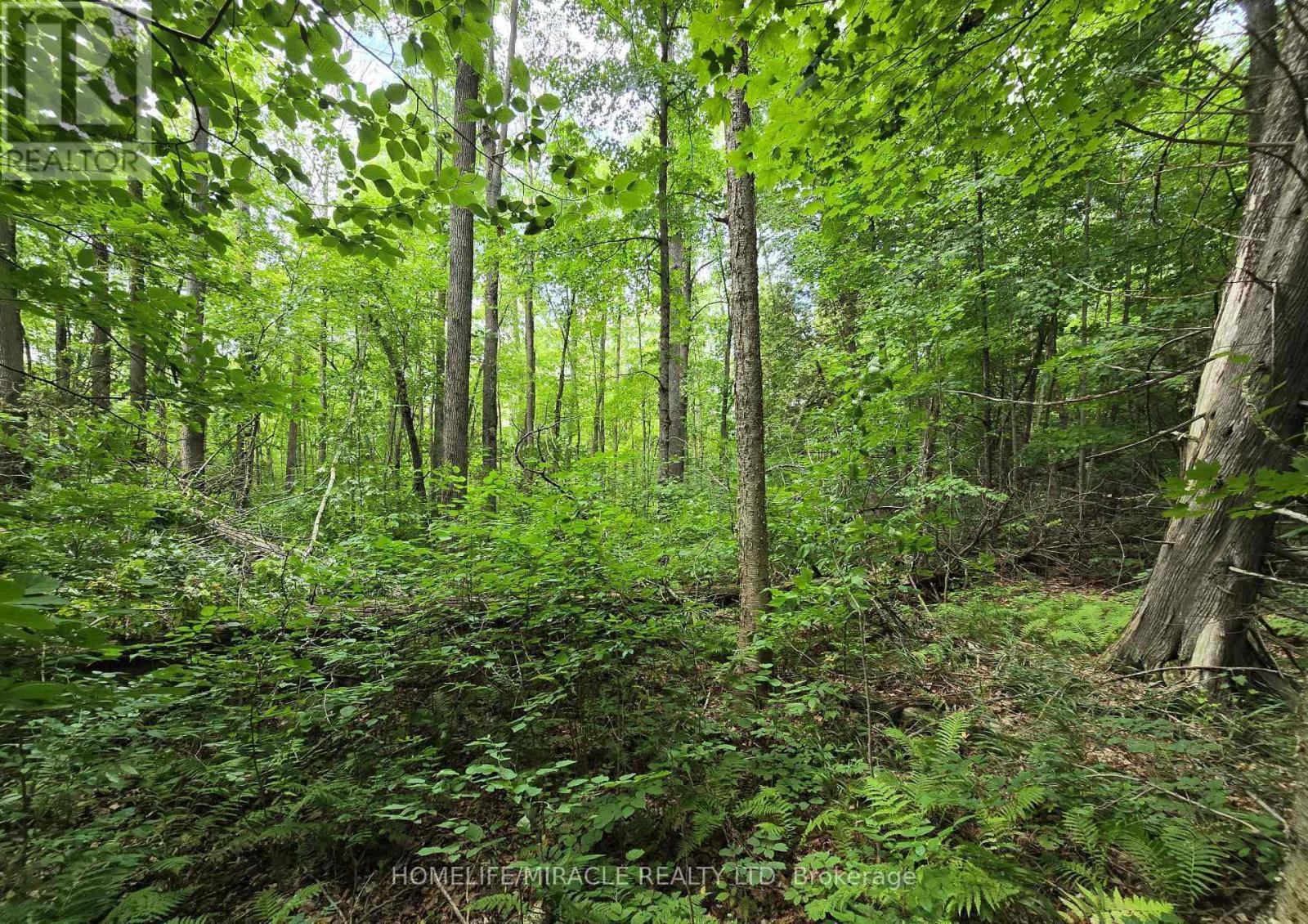 000 CEDAR SANDS ROAD, Rideau Lakes, Ontario