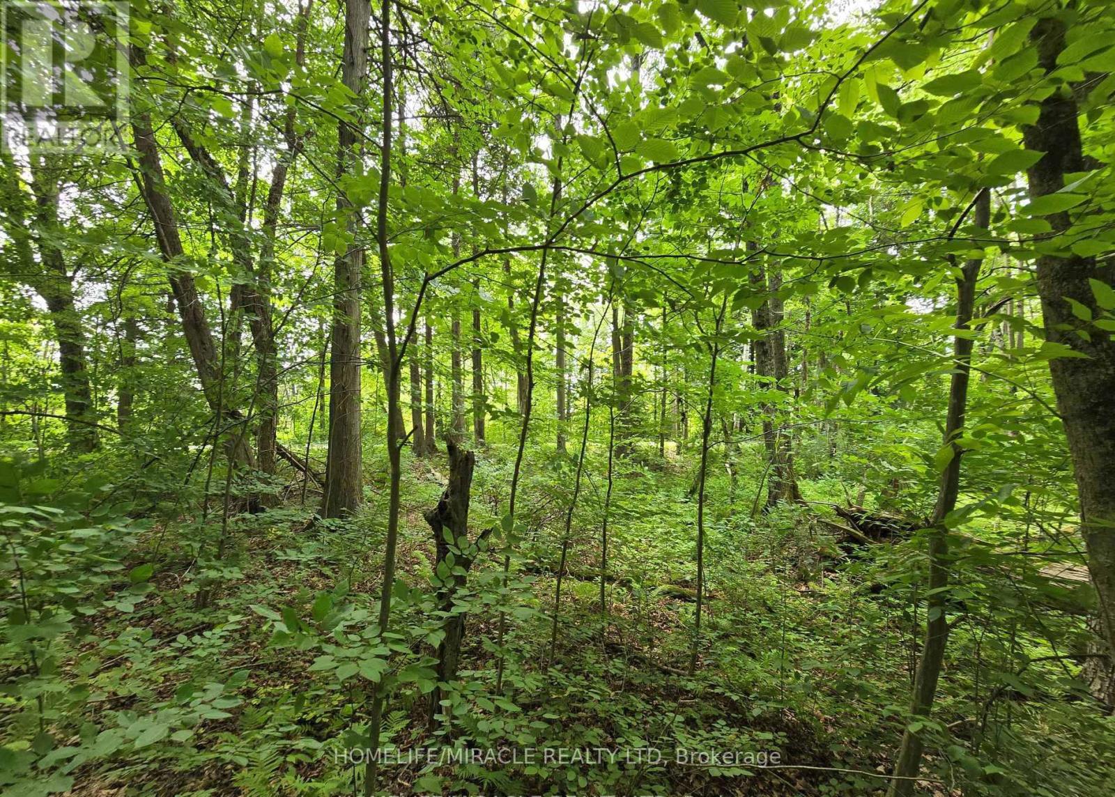 000 Cedar Sands Road, Rideau Lakes, Ontario  K0E 1N0 - Photo 2 - X13093346