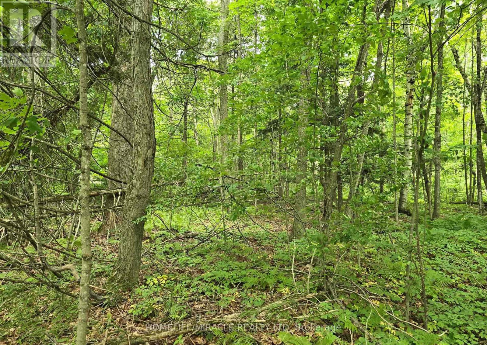 000 Cedar Sands Road, Rideau Lakes, Ontario  K0E 1N0 - Photo 3 - X13093346