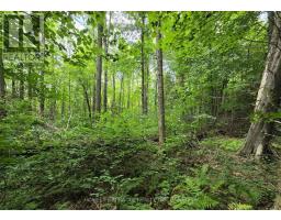 000 CEDAR SANDS ROAD, Rideau Lakes, Ontario