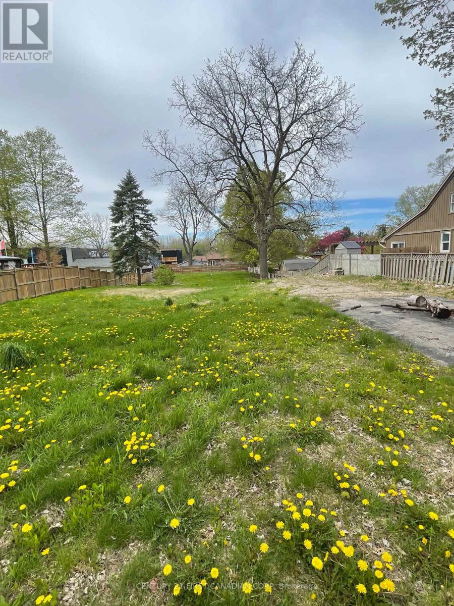 313 Buchanan Street, Strathroy-Caradoc (Sw), Ontario  N7G 1K6 - Photo 3 - X13093556