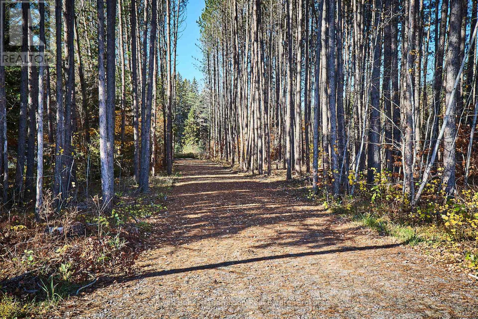 1304 Old North Road, Huntsville, Ontario  P1H 2J4 - Photo 3 - X13093554