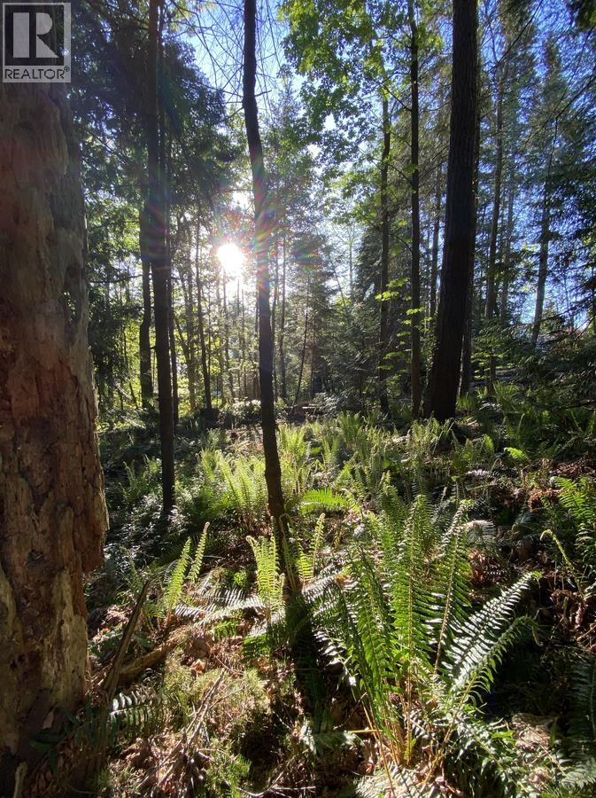 Lot B 1533 Grandview Road, Gibsons, British Columbia  V0N 1V5 - Photo 11 - R3120614
