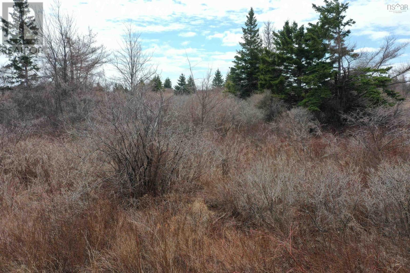 Lot 33 Malagash Road, Malagash Point, Nova Scotia  B0K 1E0 - Photo 13 - 202609488
