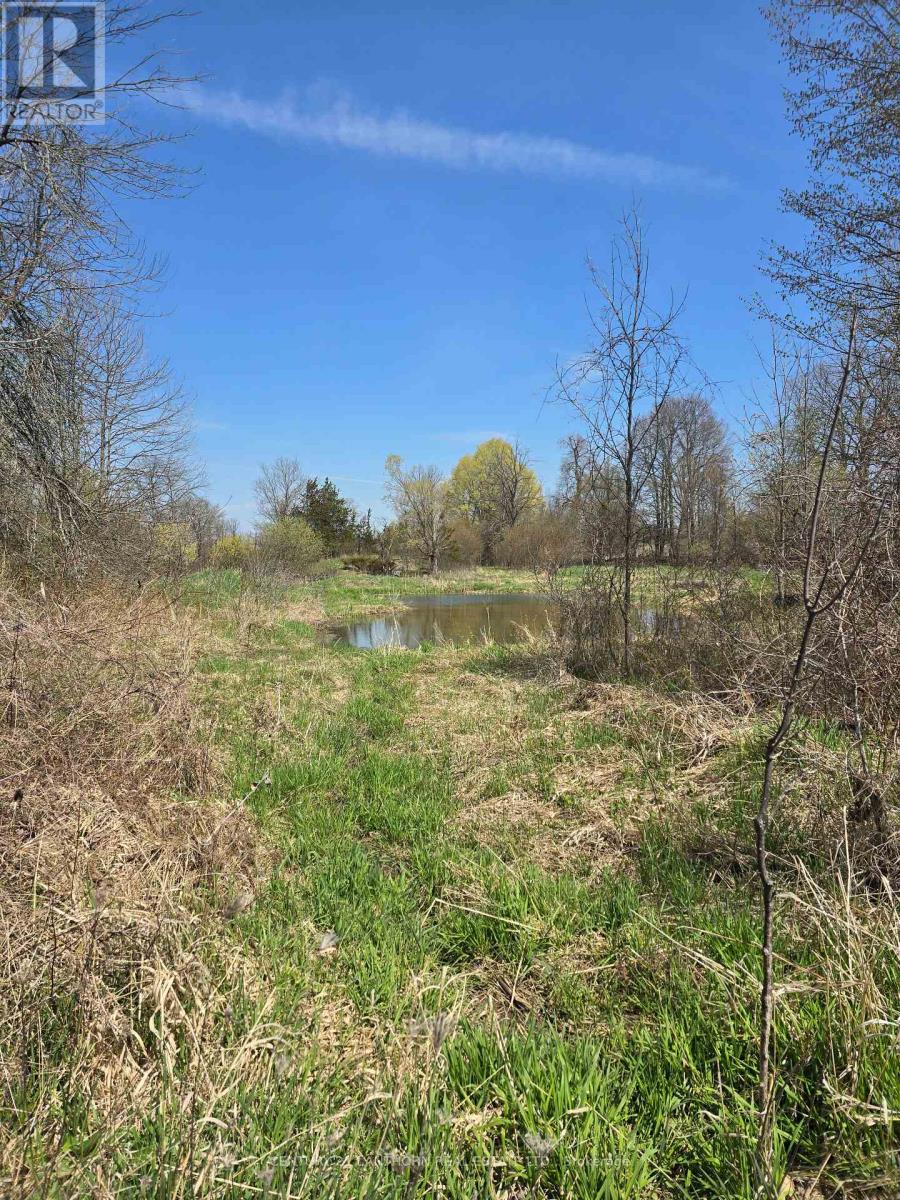 0 Windmill Road, Tweed (Hungerford (Twp)), Ontario  K0K 3H0 - Photo 15 - X13093684