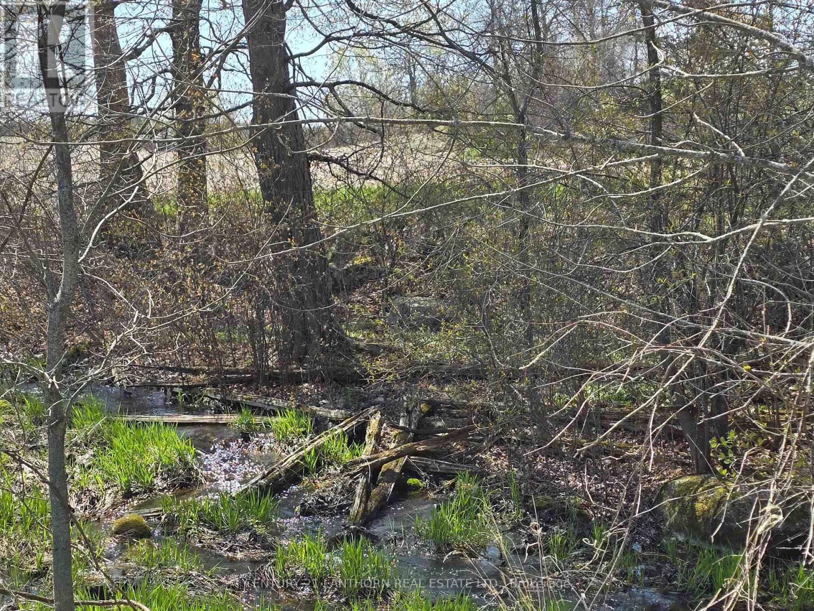 0 Windmill Road, Tweed (Hungerford (Twp)), Ontario  K0K 3H0 - Photo 20 - X13093684