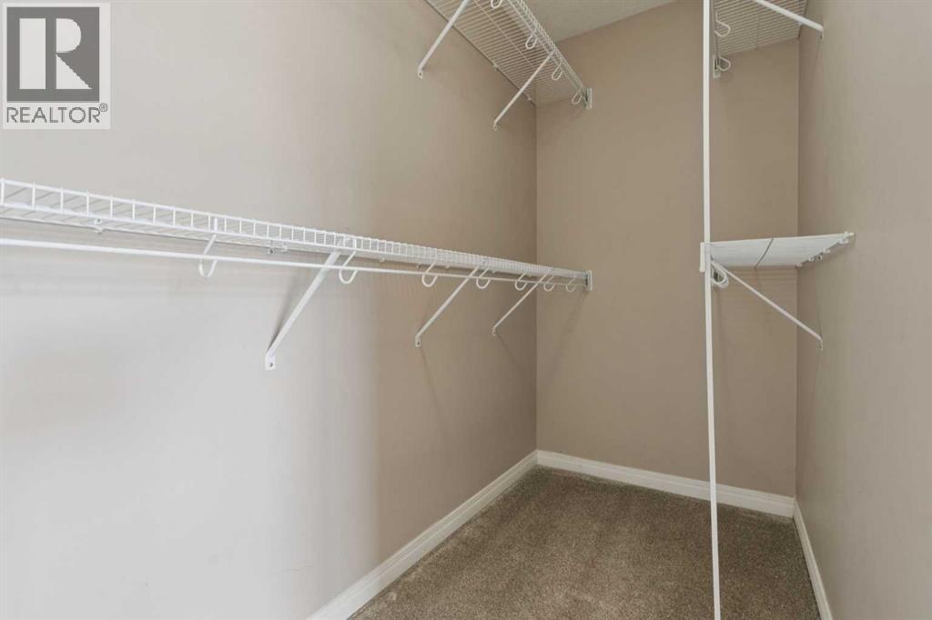74 Skyview Point Green Ne, Calgary, Alberta  T3N 1B6 - Photo 21 - A2307613
