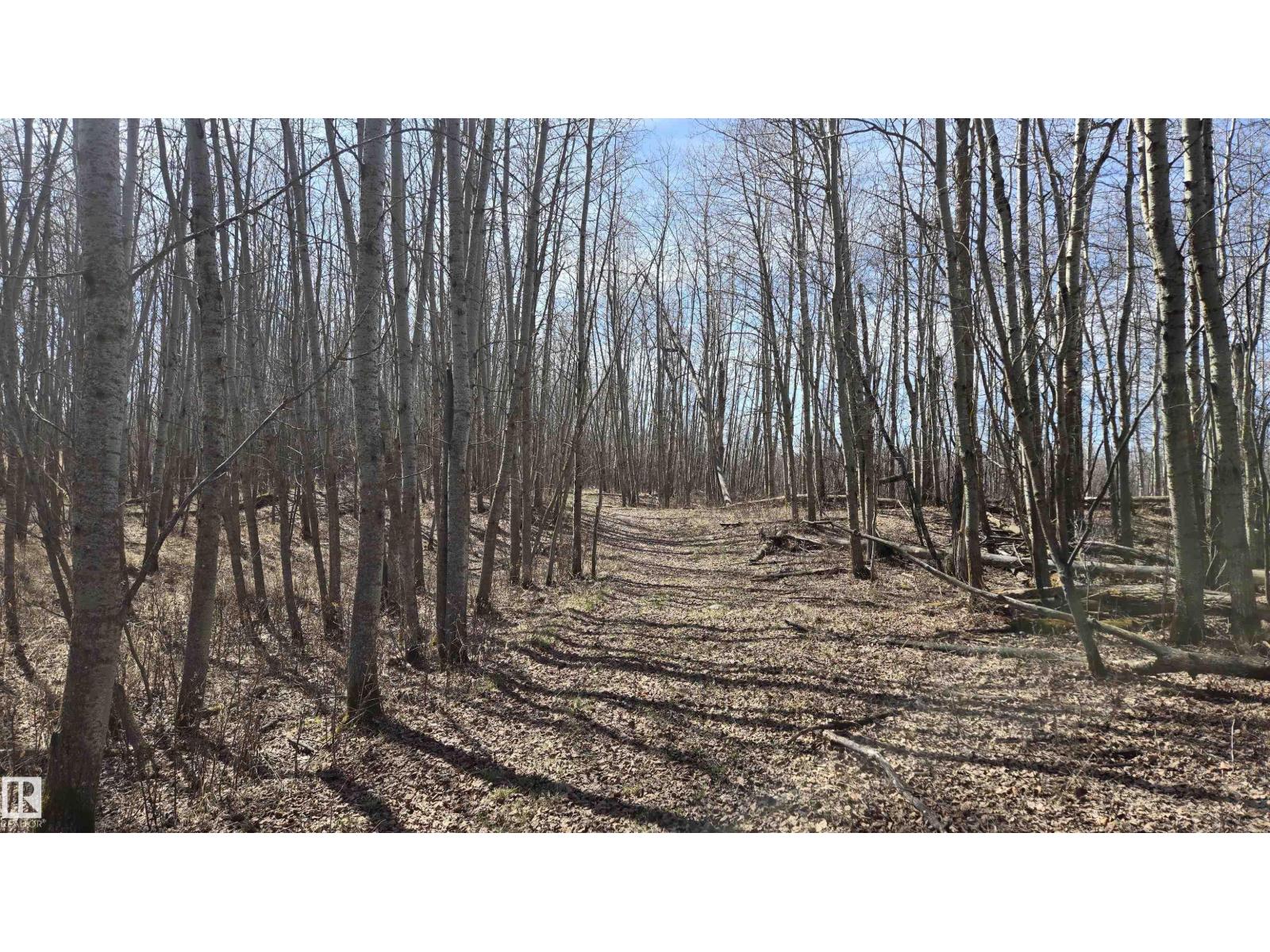 11 Twin Lakes Dr, Rural Lamont County, Alberta  T0B 2R0 - Photo 22 - E4477853