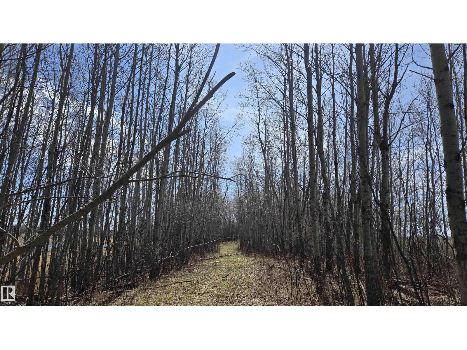 11 Twin Lakes Dr, Rural Lamont County, Alberta  T0B 2R0 - Photo 20 - E4477853