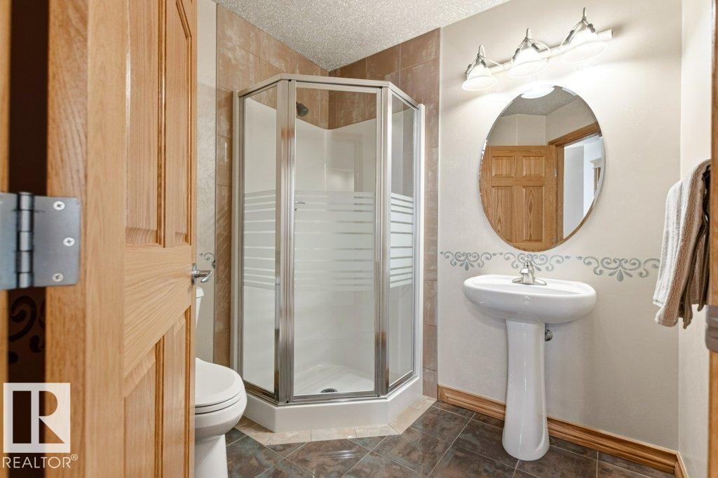 244 Wolf Willow Rd Nw, Edmonton, Alberta  T5T 6N3 - Photo 18 - E4486101