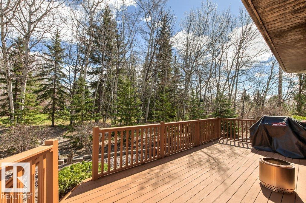 244 Wolf Willow Rd Nw, Edmonton, Alberta  T5T 6N3 - Photo 24 - E4486101
