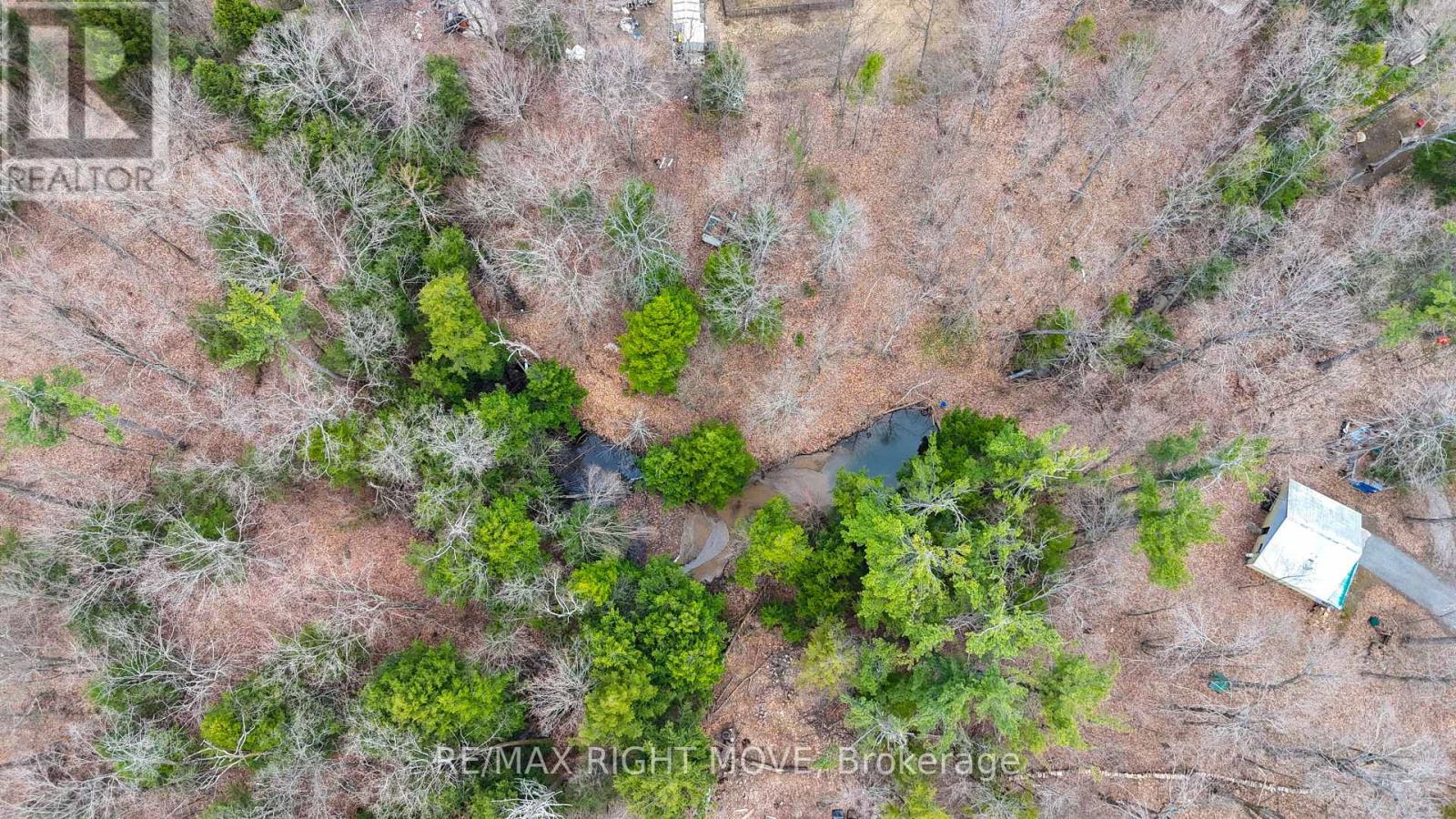 4124 Wainman Line, Severn, Ontario  L3V 7C4 - Photo 13 - S13088802