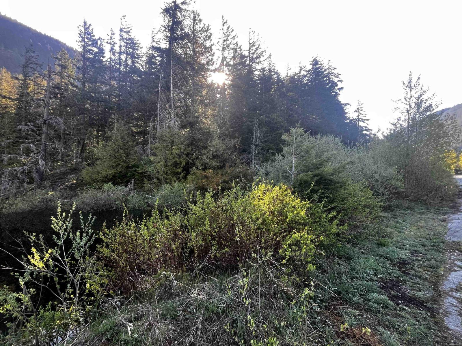 Rll1 Strawberry Lane, Sunshine Valley, Hope, British Columbia  V0X 1L5 - Photo 1 - R3120511