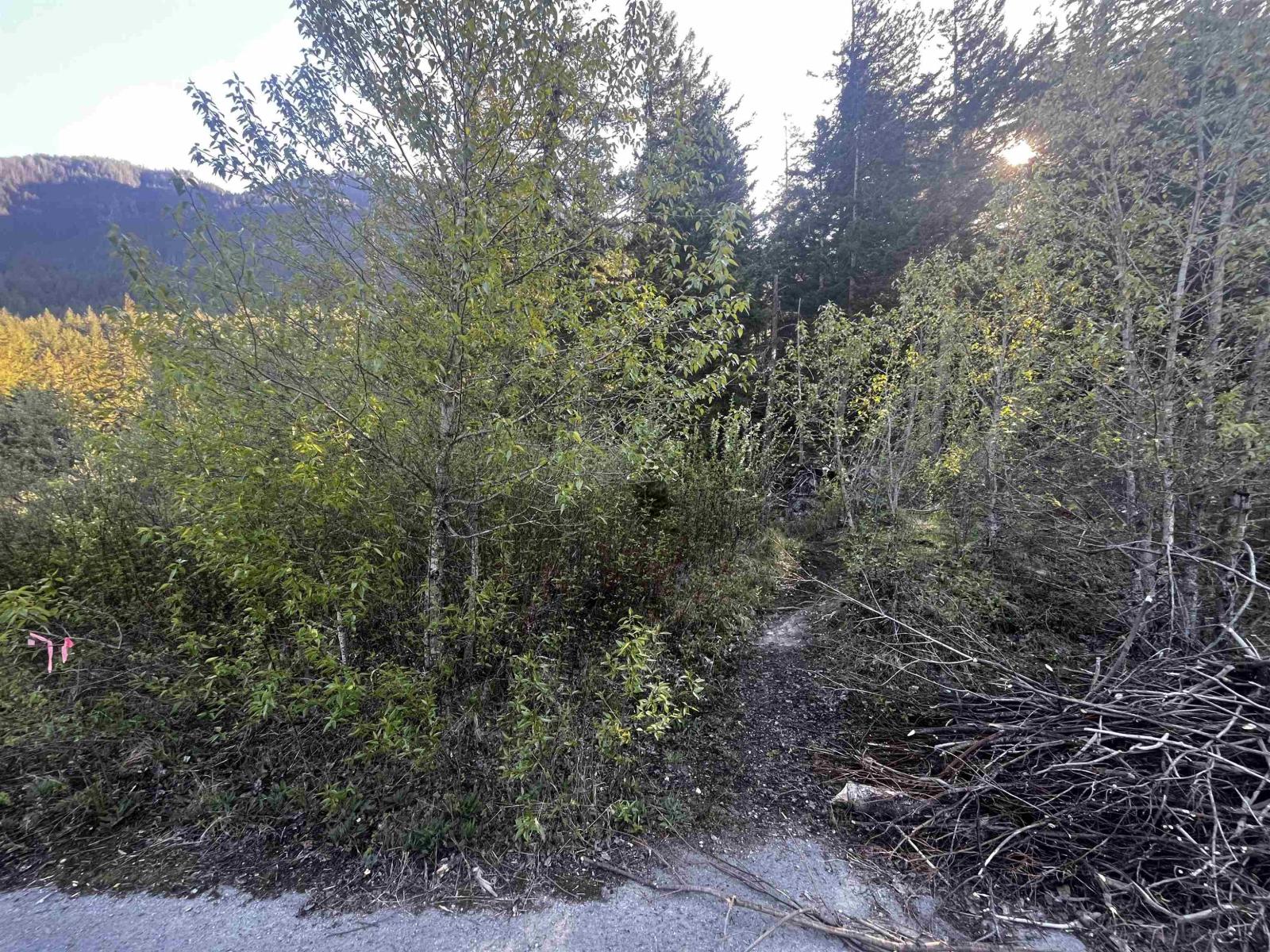 Rll1 Strawberry Lane, Sunshine Valley, Hope, British Columbia  V0X 1L5 - Photo 4 - R3120511
