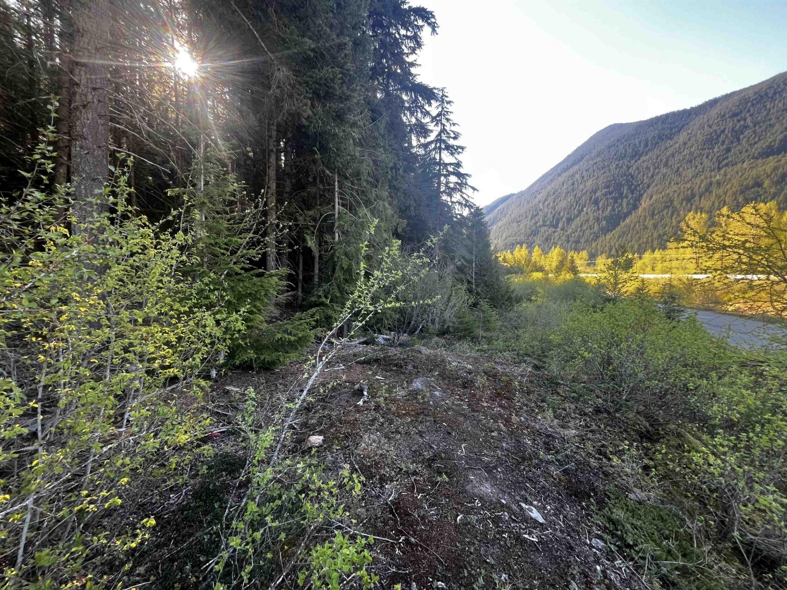 Rll1 Strawberry Lane, Sunshine Valley, Hope, British Columbia  V0X 1L5 - Photo 8 - R3120511
