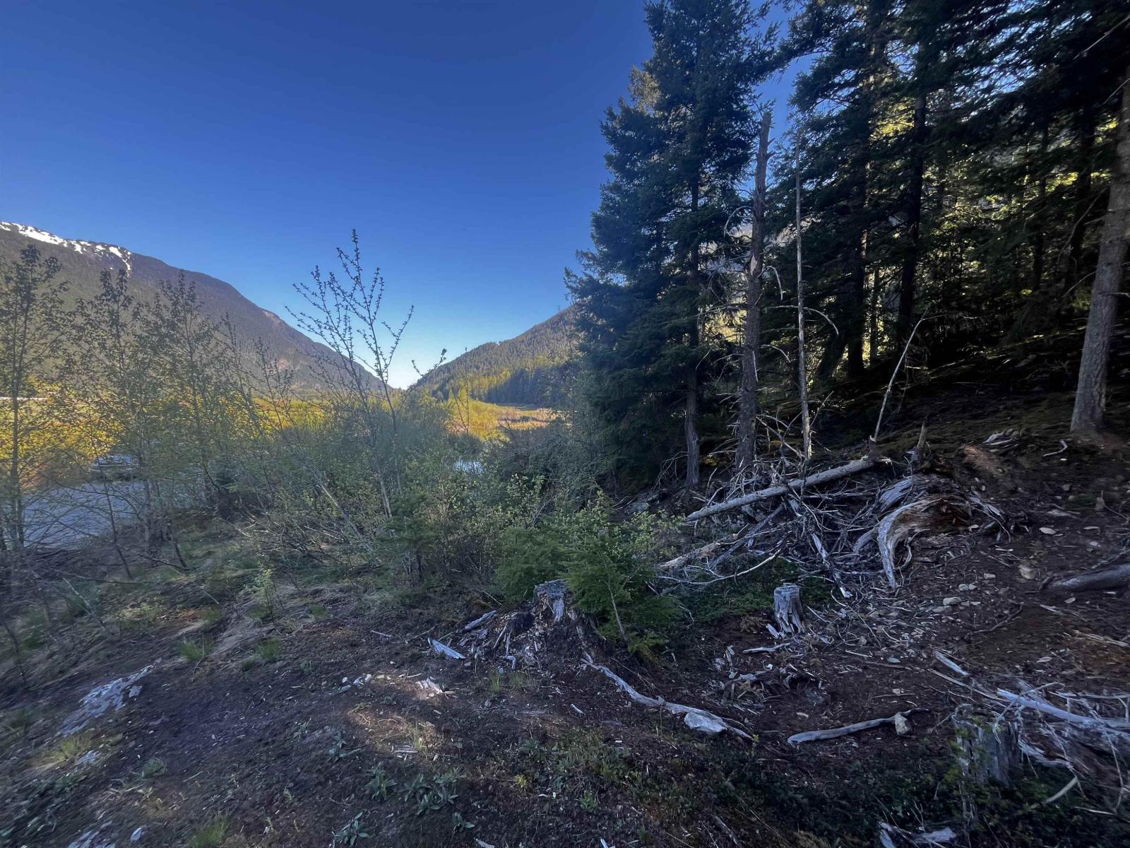 Rll1 Strawberry Lane, Sunshine Valley, Hope, British Columbia  V0X 1L5 - Photo 9 - R3120511