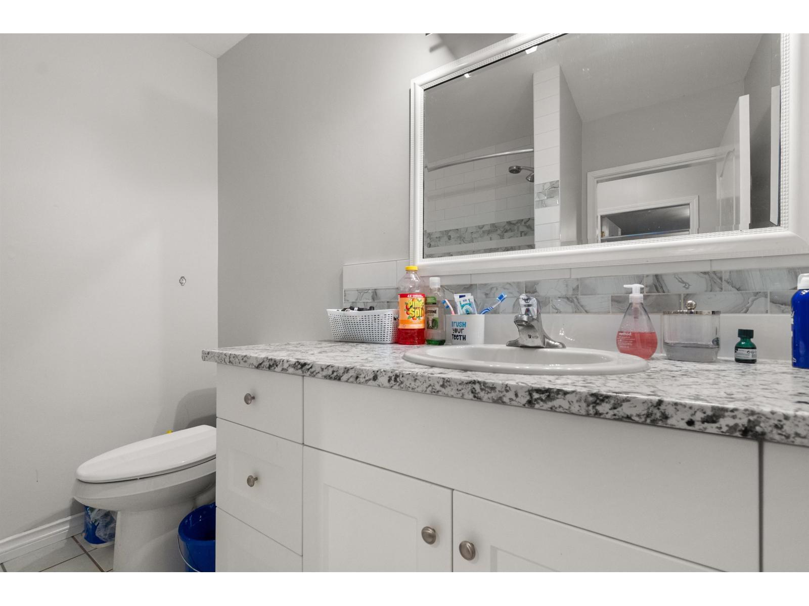 45378 Princess Avenue, Chilliwack Proper West, Chilliwack, British Columbia  V2P 2C2 - Photo 20 - R3120083