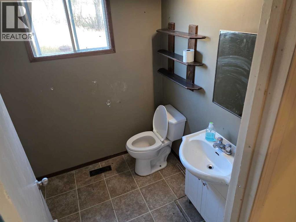 5033 48 Street, Sedgewick, Alberta  T0B 4C0 - Photo 15 - A2262440