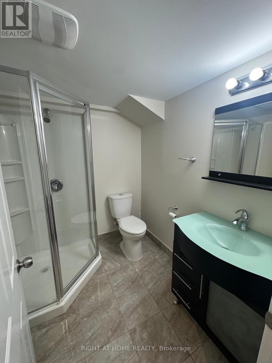 182 Higginbotham Crescent, Milton, Ontario  L9T 8E1 - Photo 16 - W13093942