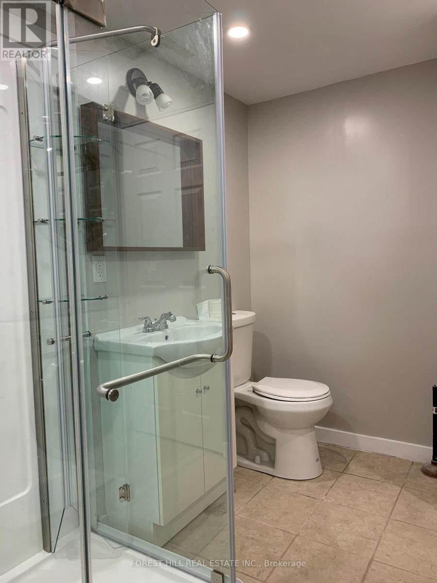 Lower - 290 Britannia Avenue, Bradford West Gwillimbury, Ontario  L3Z 1A7 - Photo 6 - N13094424