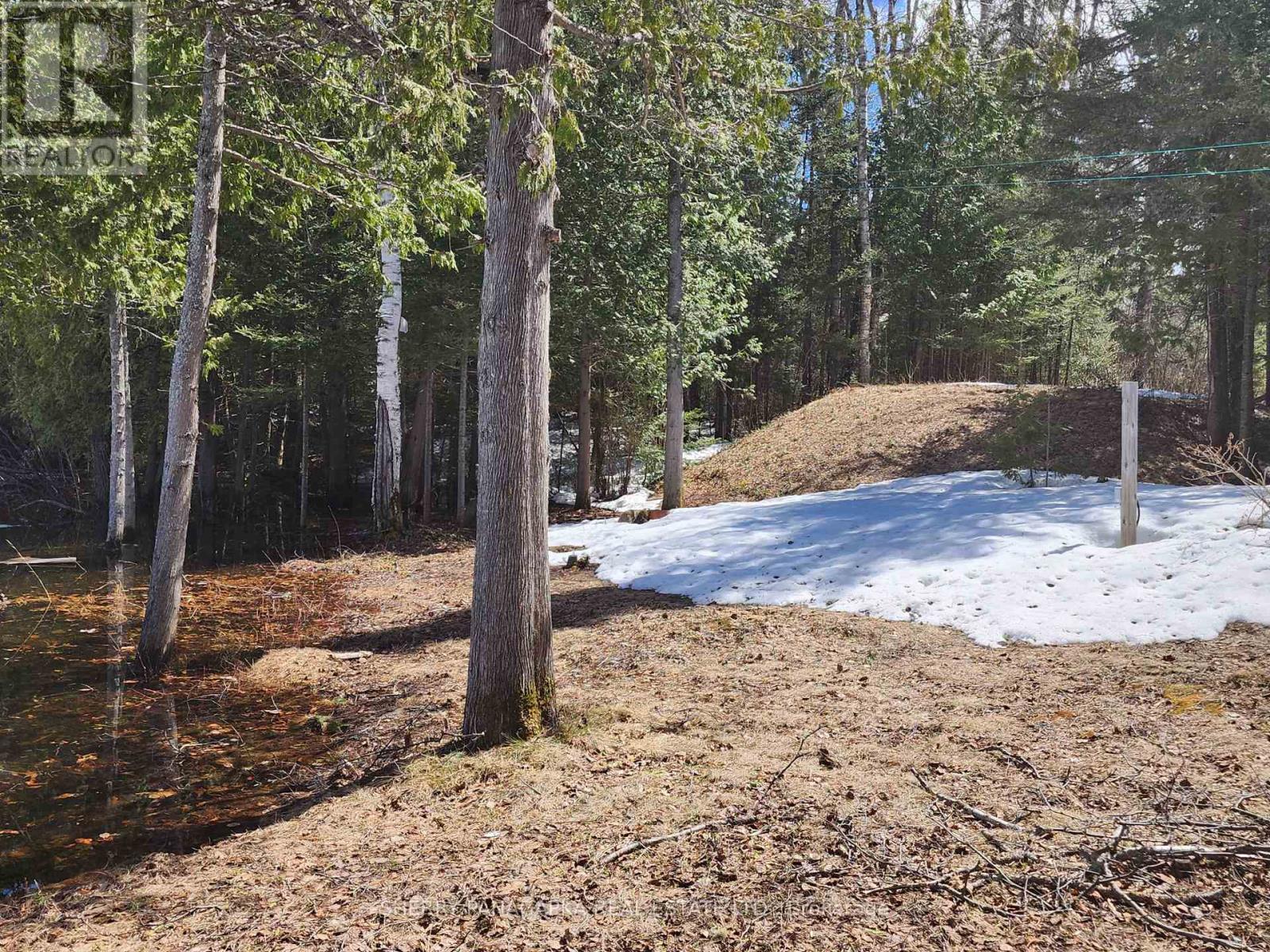 146 Boland Road, Kirkland Lake, Ontario  P0K 1T0 - Photo 41 - T13094566