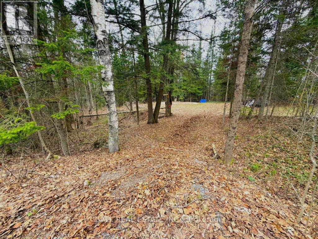 0 Quarry Road, Bancroft, Ontario  K0L 1C0 - Photo 1 - X12814520