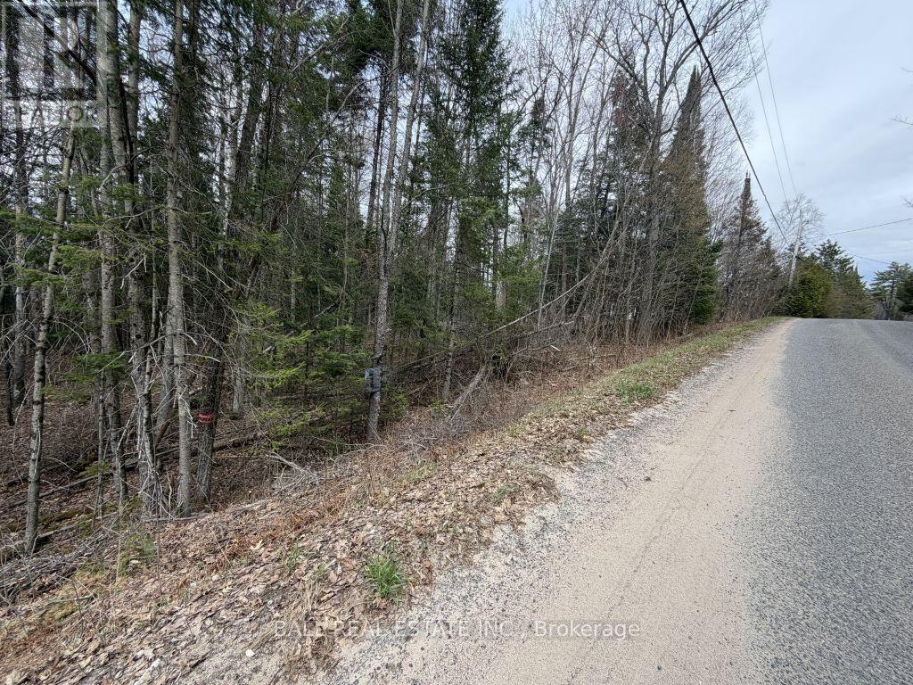 0 Quarry Road, Bancroft, Ontario  K0L 1C0 - Photo 5 - X12814520