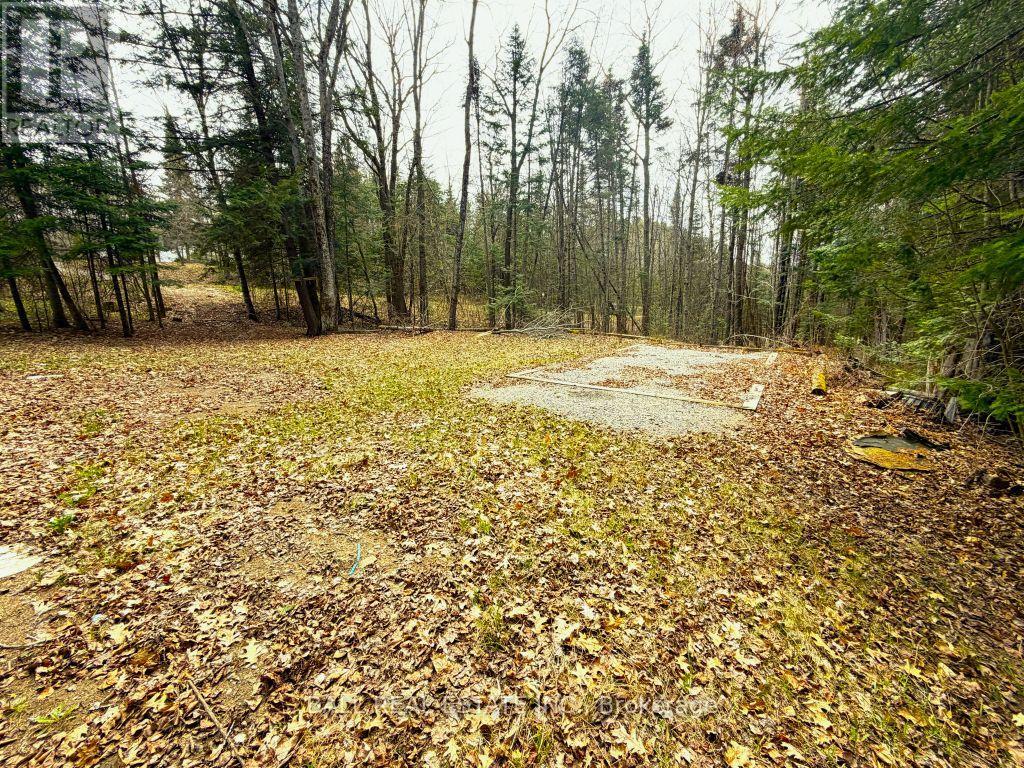 0 Quarry Road, Bancroft, Ontario  K0L 1C0 - Photo 2 - X12814520