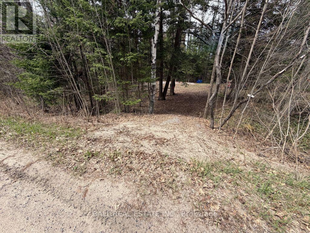 0 Quarry Road, Bancroft, Ontario  K0L 1C0 - Photo 3 - X12814520