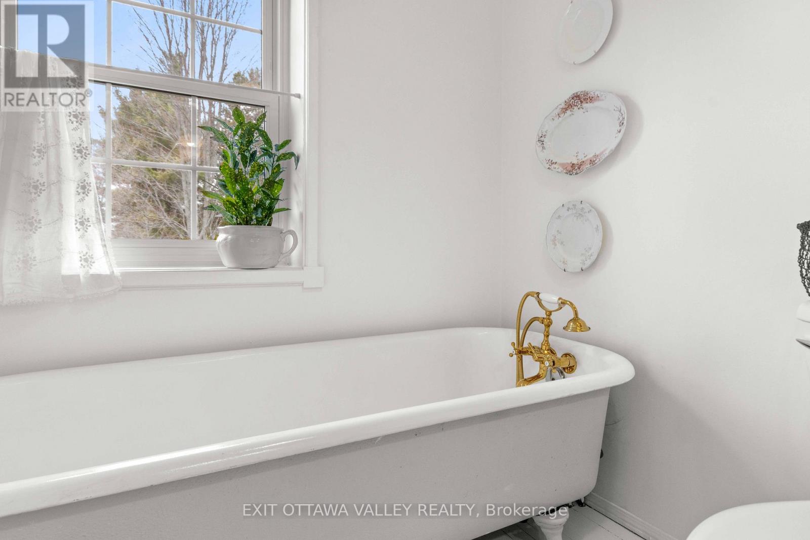 117 Bay Street, Madawaska Valley, Ontario  K0J 1B0 - Photo 45 - X13094552