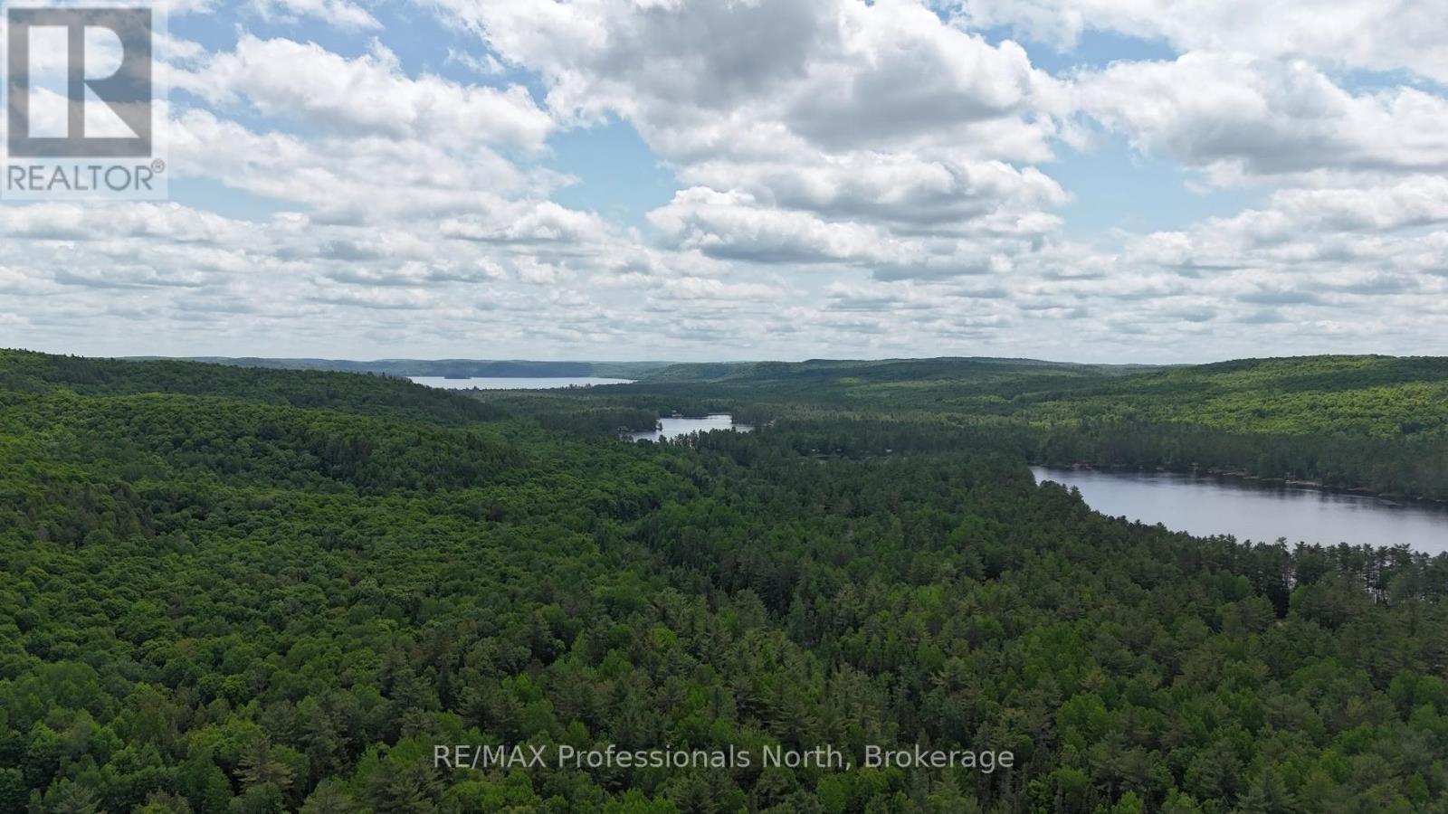 3951 Elephant Lake Road, Dysart Et Al (Harcourt), Ontario  K0L 1X0 - Photo 15 - X13094776